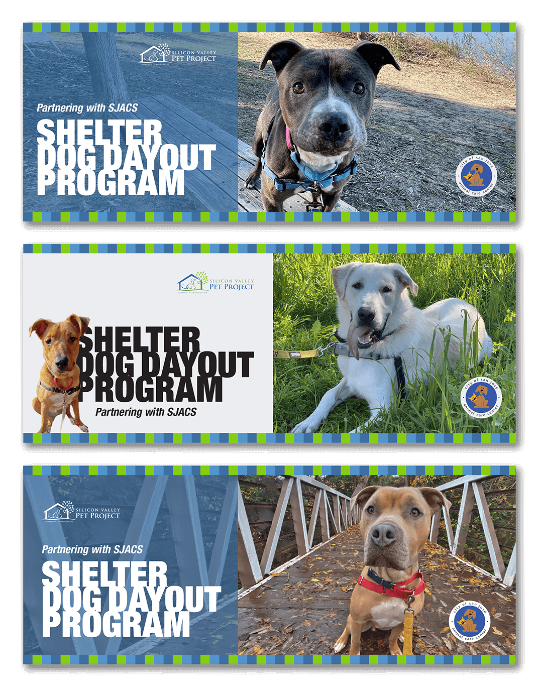 Three banners of shelter dogs