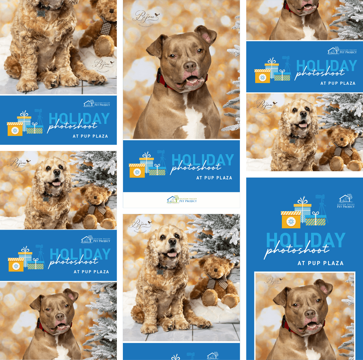 Grid of social media stories containing dogs