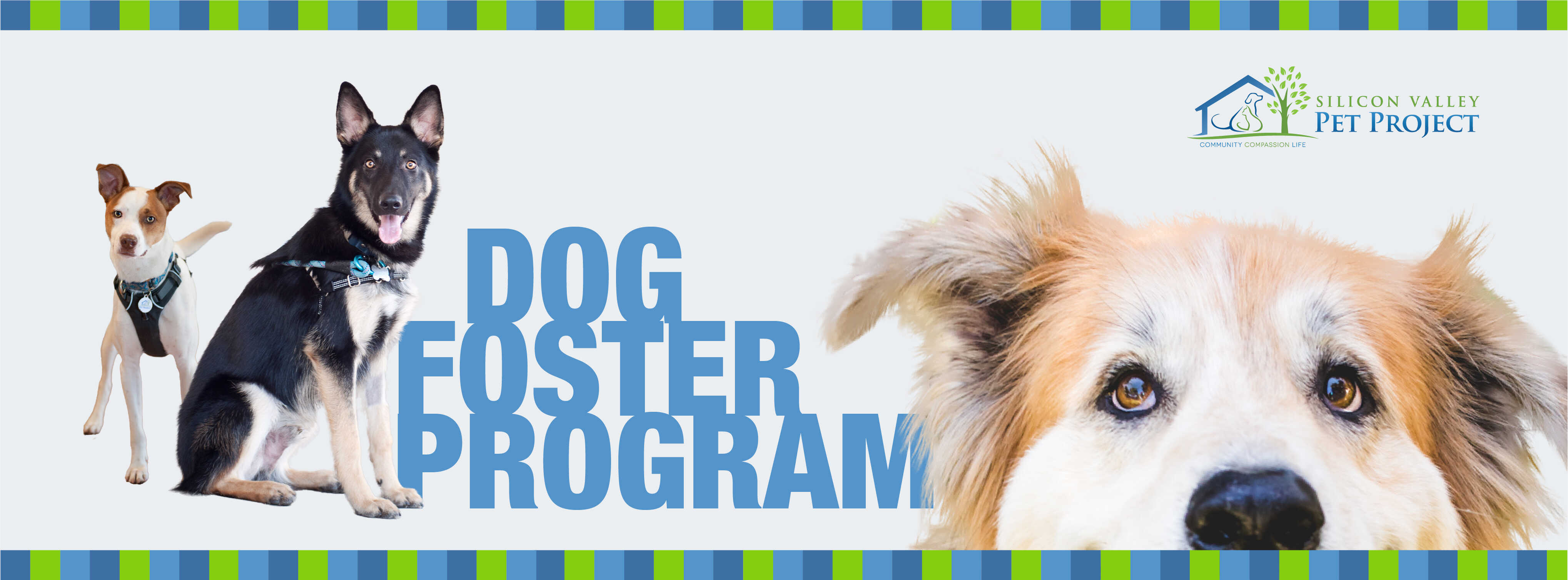 Banner with three dogs