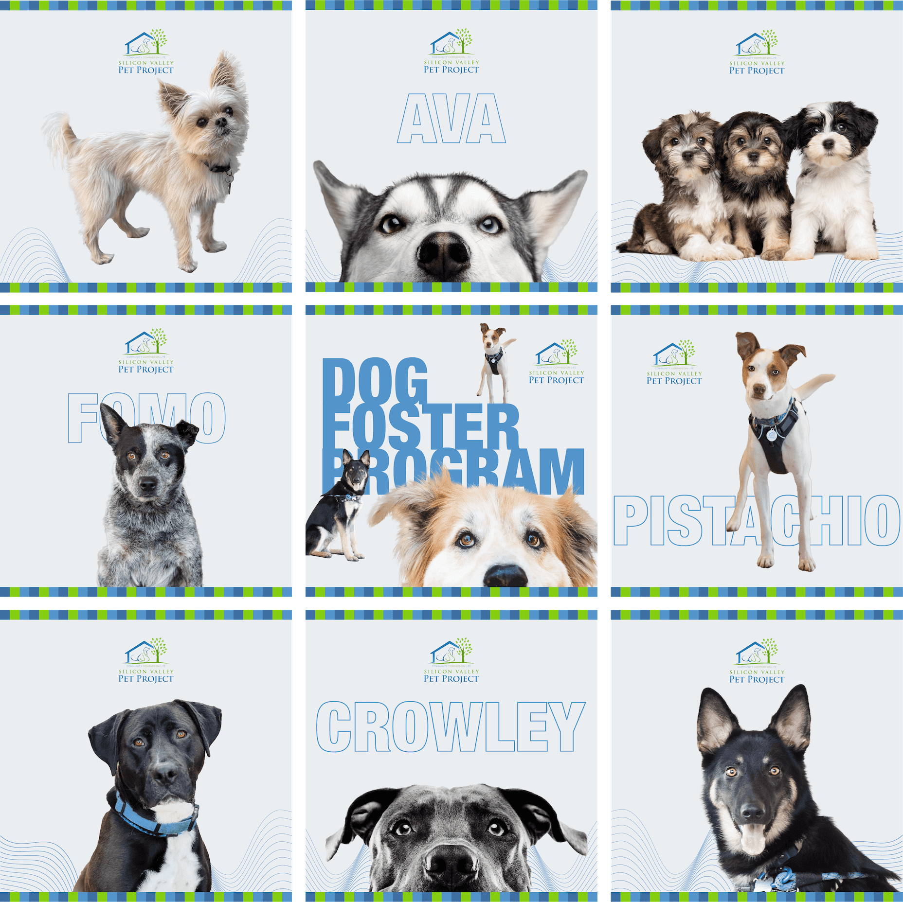 Instagram grid of multiple dog posts