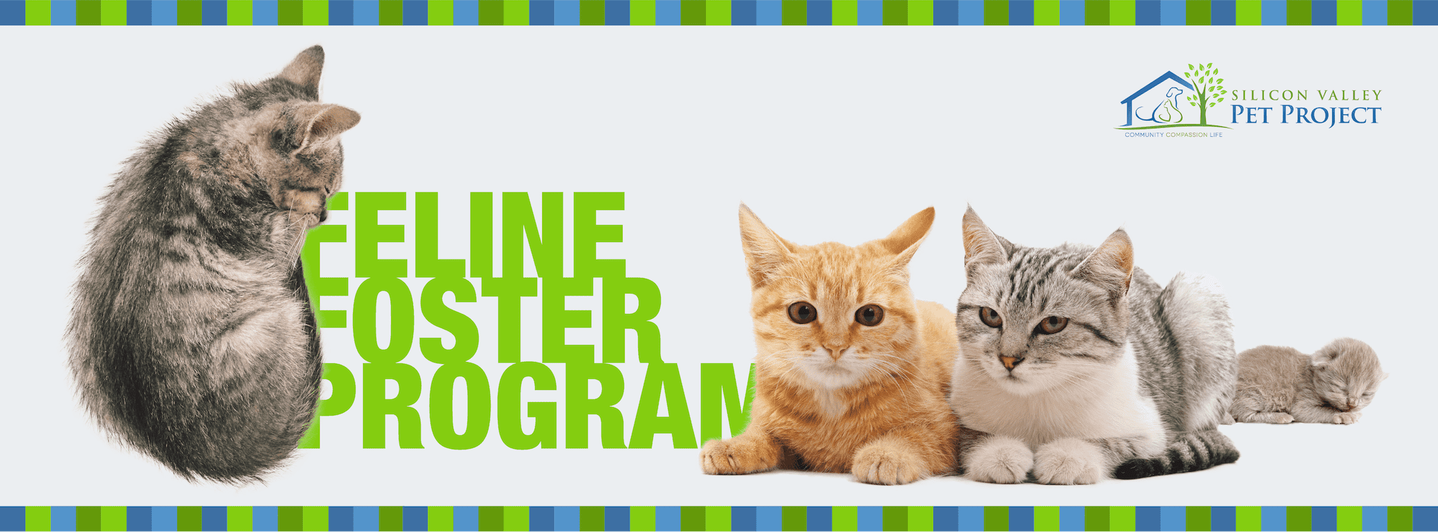 Banner with three cats